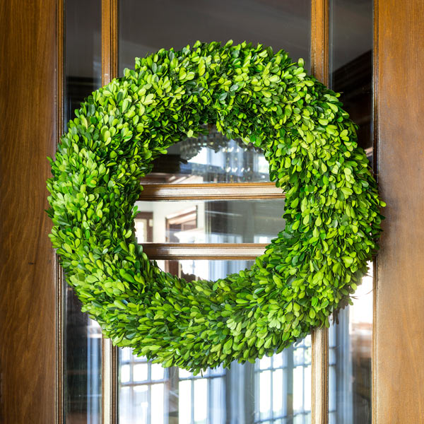 24 In Preserved Boxwood Wreath