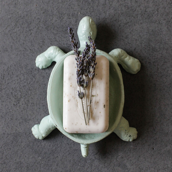 Aqua Turtle Soap Holder